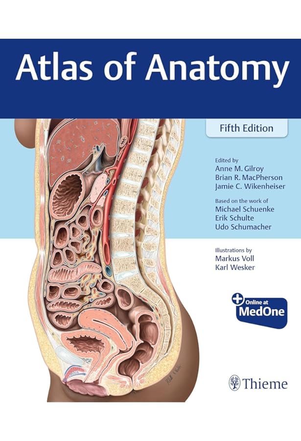 Atlas of Anatomy: 9781684202034: Medicine & Health Science Books